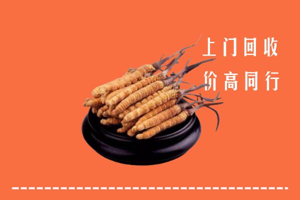 高价求购：株洲市天元区回收散虫草
