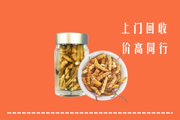 收购行情：株洲市天元区回收冬虫夏草