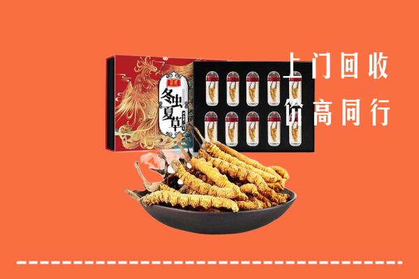收购行情：株洲市天元区回收虫草
